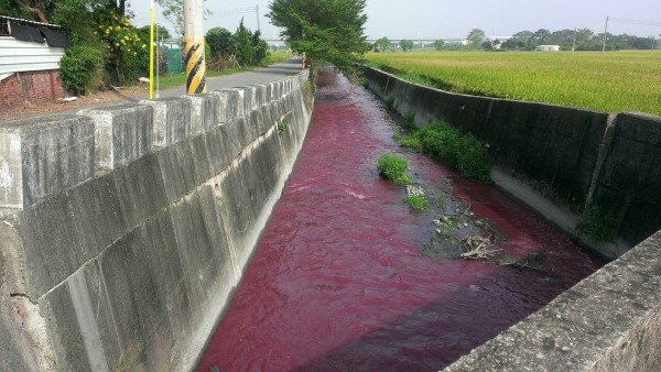 彰化清水溪遭排放染整廢水。圖 / 彰化踢爆網